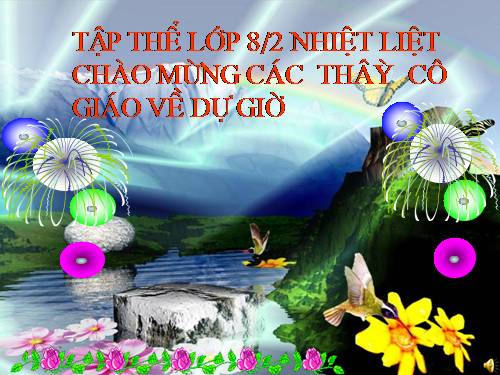 Chương II. §3. Diện tích tam giác