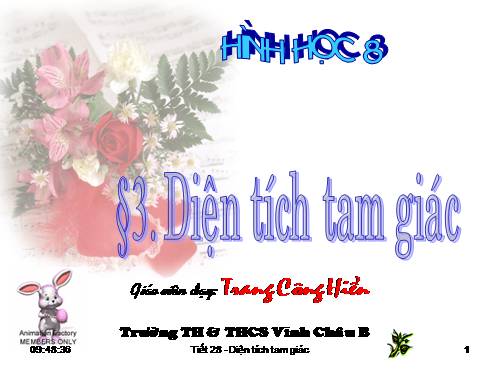 Chương II. §3. Diện tích tam giác