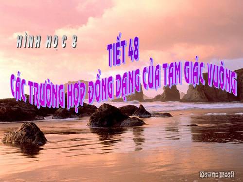 Chương III. §8. Các trường hợp đồng dạng của tam giác vuông