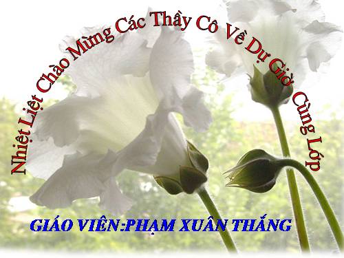 Chương II. §5. Diện tích hình thoi