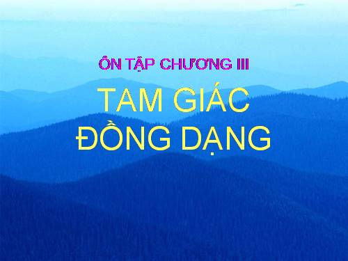 Ôn tập Chương III. Tam giác đồng dạng