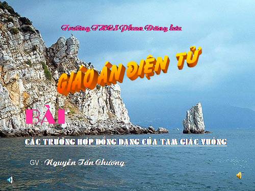 Chương III. §8. Các trường hợp đồng dạng của tam giác vuông