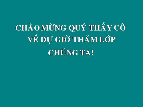 Chương II. §2. Diện tích hình chữ nhật