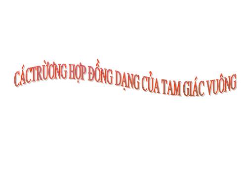 Chương III. §8. Các trường hợp đồng dạng của tam giác vuông