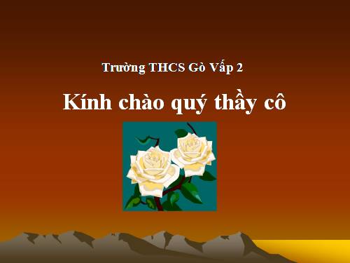 Các bài Luyện tập