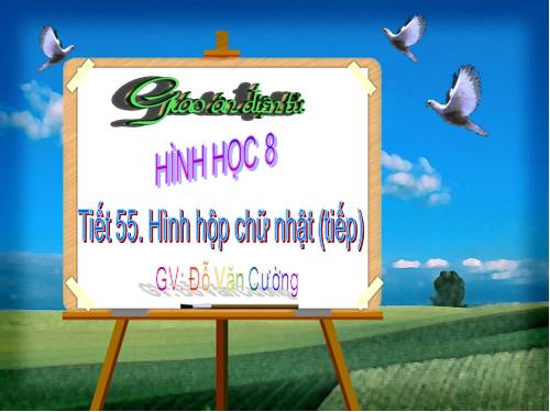 Chương IV. §2. Hình hộp chữ nhật (tiếp)