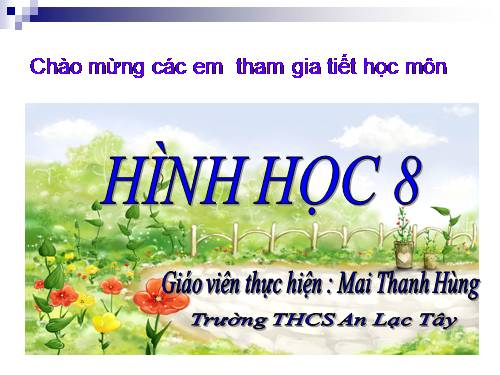 Chương II. §2. Diện tích hình chữ nhật