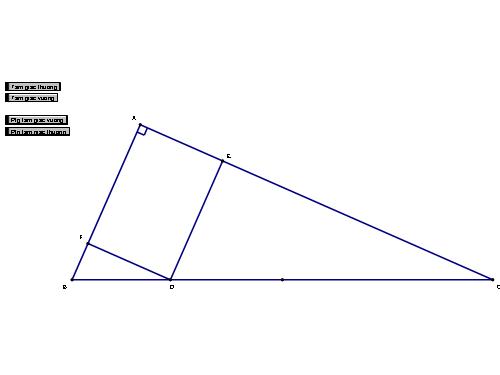 Các bài Luyện tập