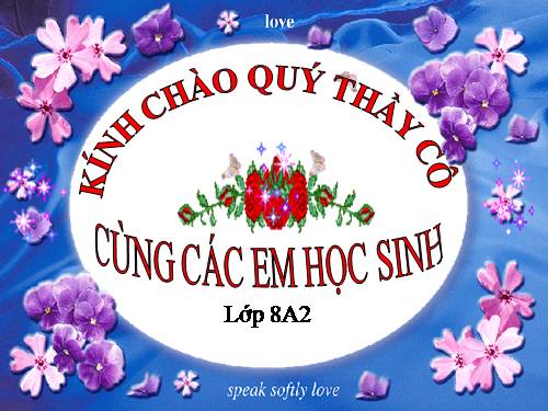 Các bài Luyện tập