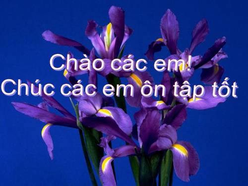 Ôn tập Chương I. Tứ giác