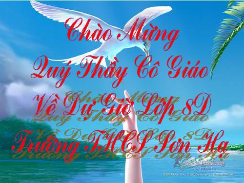 Chương I. §12. Hình vuông