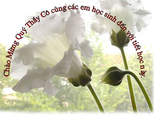 Chương I. §12. Hình vuông