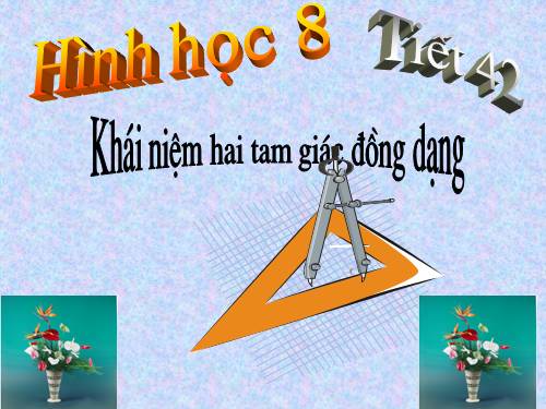 Chương III. §4. Khái niệm hai tam giác đồng dạng