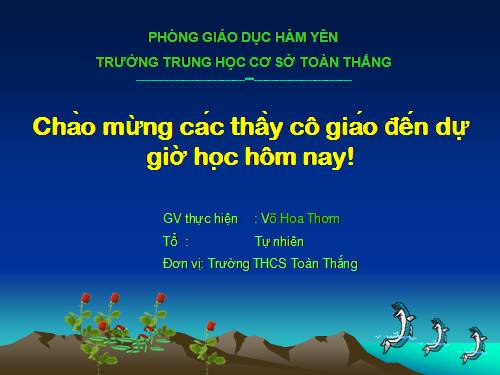 Các bài Luyện tập