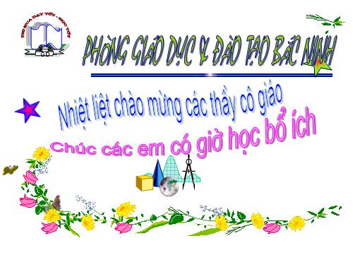 Chương III. §8. Các trường hợp đồng dạng của tam giác vuông