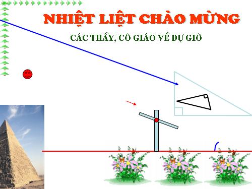 Chương III. §8. Các trường hợp đồng dạng của tam giác vuông