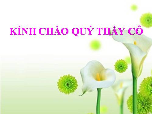 Chương II. §3. Diện tích tam giác