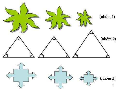 Chương III. §4. Khái niệm hai tam giác đồng dạng