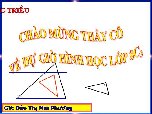 Chương III. §8. Các trường hợp đồng dạng của tam giác vuông