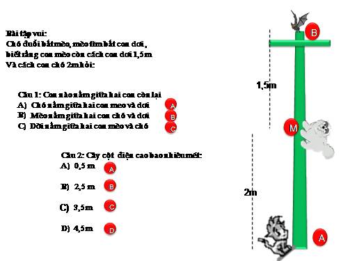 Các bài Luyện tập