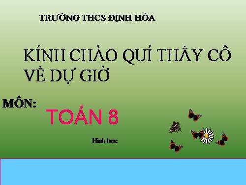 Chương III. §8. Các trường hợp đồng dạng của tam giác vuông