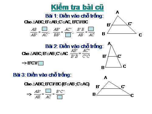 Các bài Luyện tập