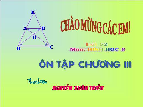 Ôn tập Chương III. Tam giác đồng dạng