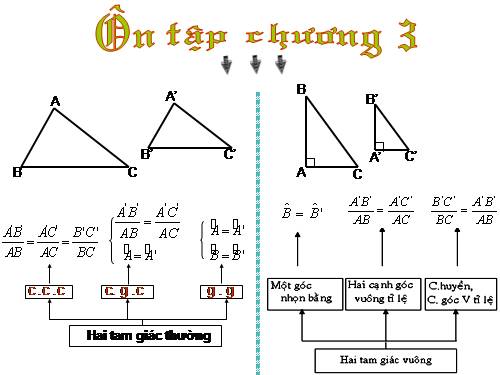 Ôn tập Chương III. Tam giác đồng dạng