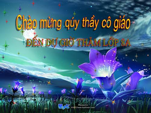 Chương III. §7. Trường hợp đồng dạng thứ ba