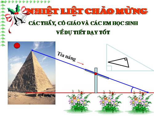 Chương III. §8. Các trường hợp đồng dạng của tam giác vuông