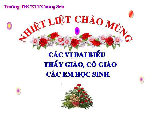 Các bài Luyện tập