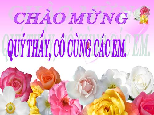 Chương I. §12. Hình vuông