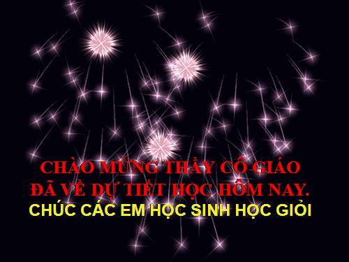 Chương II. §6. Diện tích đa giác