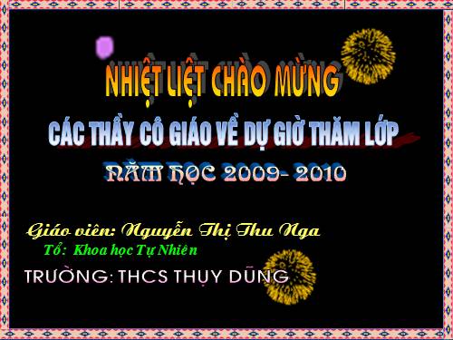 Các bài Luyện tập