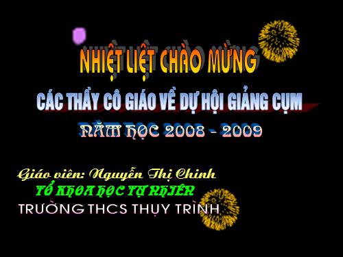 Các bài Luyện tập