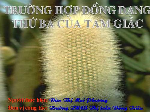 Chương III. §7. Trường hợp đồng dạng thứ ba