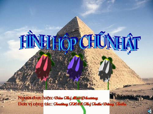 Chương IV. §1. Hình hộp chữ nhật