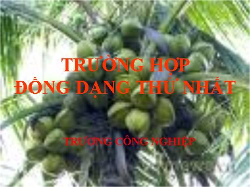 Chương III. §5. Trường hợp đồng dạng thứ nhất