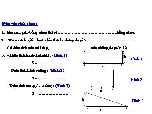 Các bài Luyện tập