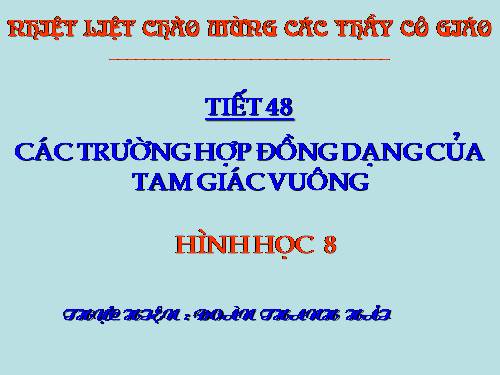 Chương III. §8. Các trường hợp đồng dạng của tam giác vuông