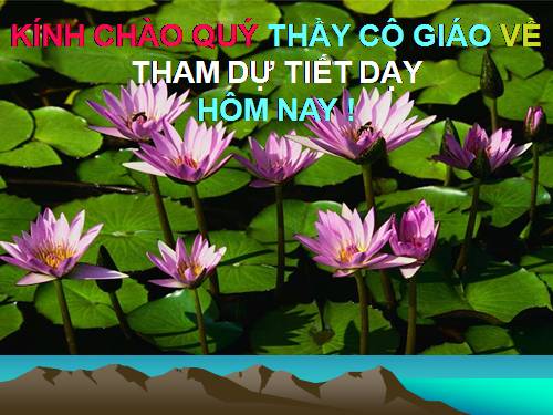 Chương III. §8. Các trường hợp đồng dạng của tam giác vuông