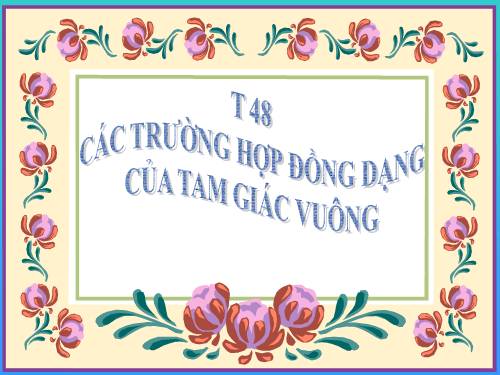 Chương III. §8. Các trường hợp đồng dạng của tam giác vuông