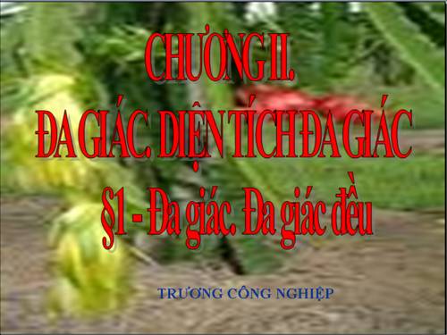 Chương II. §1. Đa giác. Đa giác đều