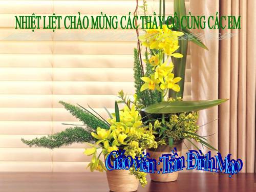 Chương III. §8. Các trường hợp đồng dạng của tam giác vuông