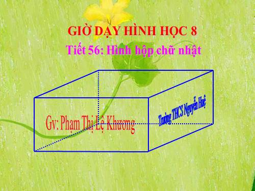 Chương IV. §1. Hình hộp chữ nhật