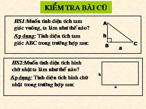 Chương II. §3. Diện tích tam giác