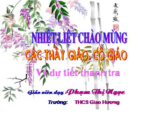 Các bài Luyện tập