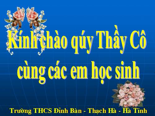 Các bài Luyện tập