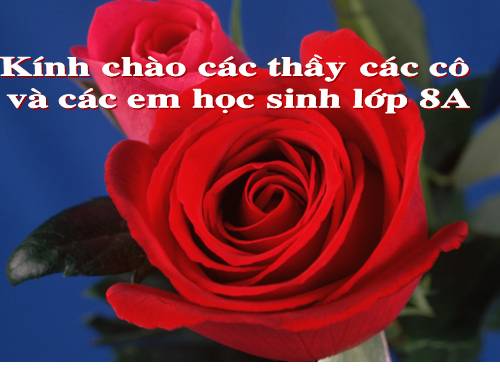 Chương II. §3. Diện tích tam giác