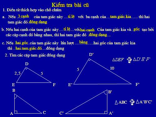 Chương III. §8. Các trường hợp đồng dạng của tam giác vuông